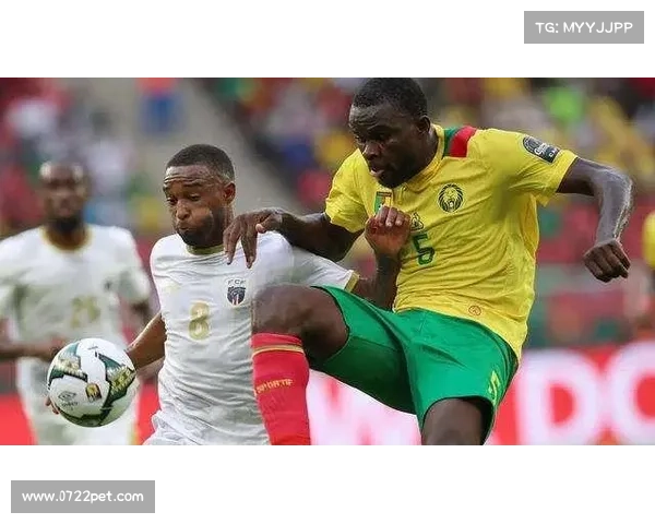 喀麦隆启动篮球漫画出版项目 助力男篮非洲杯赛事知识普及